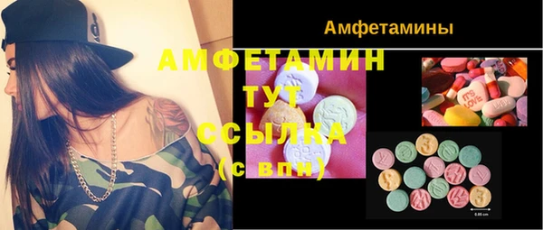 МДПВ Инсар