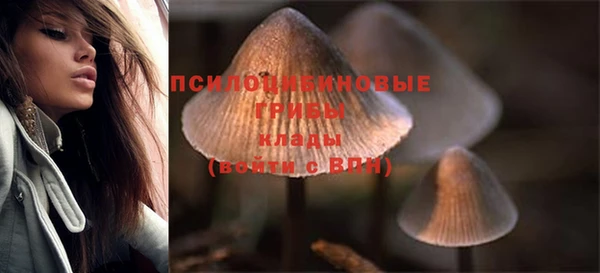 спиды Иннополис