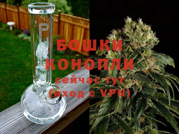 спиды Иннополис