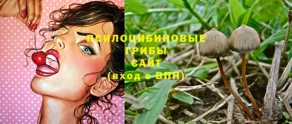 МДПВ Инсар