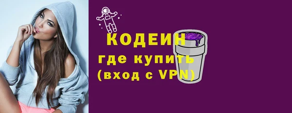 МДПВ Инсар