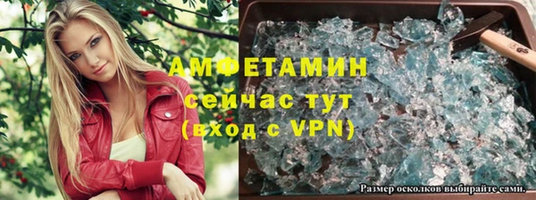МДПВ Инсар