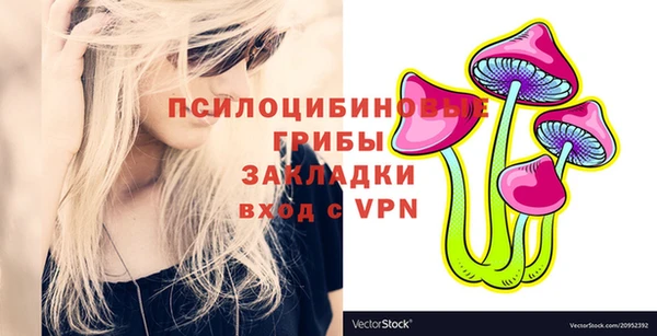 МДПВ Инсар