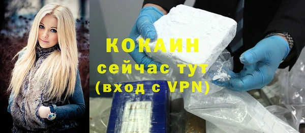 МДПВ Инсар