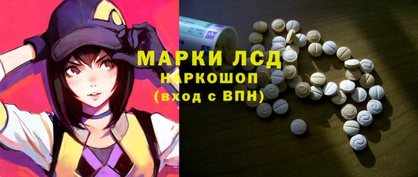МДПВ Инсар