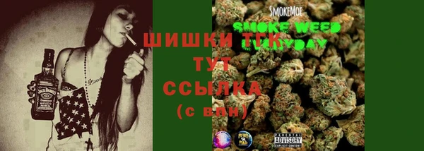 спиды Иннополис