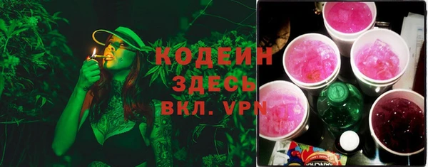 МДПВ Инсар