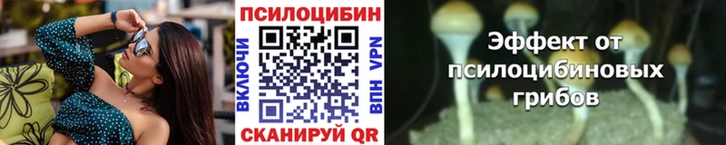 Псилоцибиновые грибы GOLDEN TEACHER  Купить где  Ясногорск 